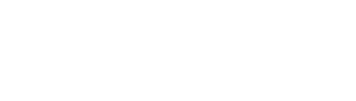 Tribe Interactive